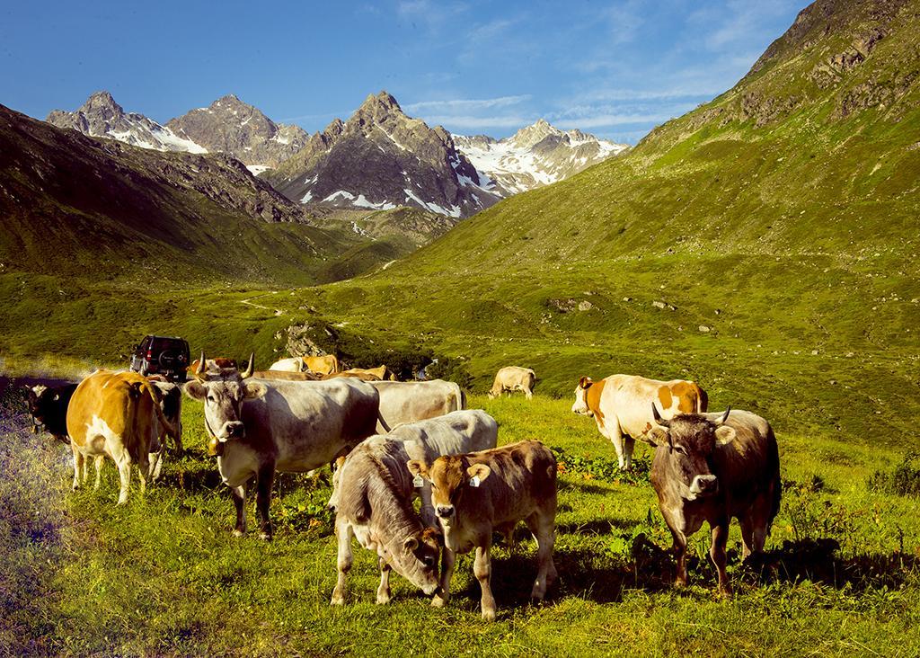 Alpenpension Maderer Gaschurn Kültér fotó